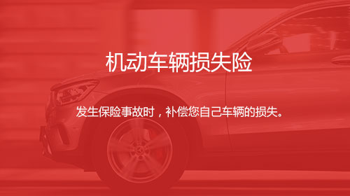 机动车辆损失险