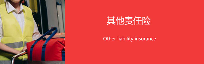 其他责任险