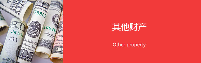 其他财产